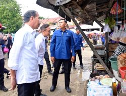 Presiden dan Ibu Iriana Cek Harga Bahan Pokok di Pasar Sentral Palakka
