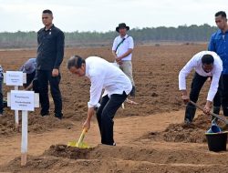 Tanam Tebu Perdana di Merauke, Presiden: Pemerintah Fokus Kembangkan Ketahanan Pangan