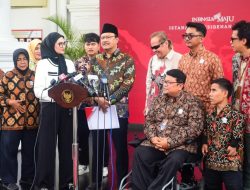 Temui Presiden Joko Widodo, Ketua PPDI Dorong Implementasi UU Penyandang Disabilitas