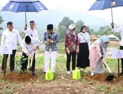 Tanam Pohon Kopi di Bukit Al-Amin, Wapres Ma’ruf Amin Dorong Ekosistem Kopi Berkelanjutan di Gunung Pakuan