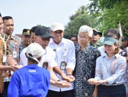 BULOG Cetak Rekor Tertinggi 10 Tahun Terakhir, Penyerapan Gabah Petani Capai 725.000 Ton Setara Beras