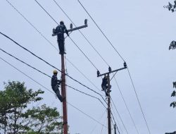 Listrik PLN Hadir, Warga 9 Desa di Kaltimra Rayakan Idulftiri 1446 H Penuh Sukacita