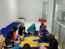 Manisnya Nanas Purbalingga: NanasQu Binaan Pertamina Gandeng 900 Petani Lokal Tembus Pasar Ekspor