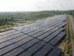 Pertama di Indonesia! Pertamina NRE Manfaatkan Kecerdasan Buatan untuk Pastikan Keandalan PLTS