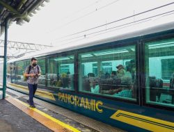 Pengalaman Berkesan Menikmati Keindahan Alam Indonesia Melalui Jendela Kereta Panoramic