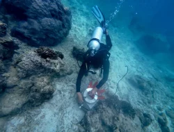 Peringati Hari Bumi 2025, Telkom Selenggarakan Konservasi Lingkungan Serentak di 4 Titik Lokasi di Indonesia