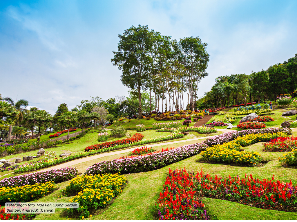 Chiang Rai (3).png