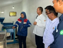 Desa Energi Berdikari Pertamina: Limbah Ikan Jadi Cuan