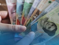 Uang Primer Adjusted Mei 2025 Tumbuh Lebih Tinggi