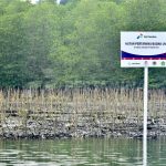 Targetkan-Pengurangan-Emisi-Karbon-Melalui-Hutan-Pertamina