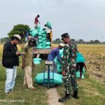 AllreleaseID – Serapan BULOG Jatim Tembus 300 Ribu Ton Setara Beras