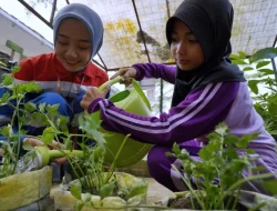 Hari Anak Nasional 2025, Pertamina Majukan Anak Indonesia Melalui Program Community Involvement and Development