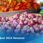 Inflasi Juni 2024 Menurun AllreleaseID-Inflasi-Juni-2024-Menurun