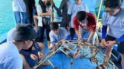 Komitmen Peduli Lingkungan, TJSL Brantas Abipraya Bersinergi Melalui Program Terumbu Karang