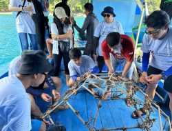 Komitmen Peduli Lingkungan, TJSL Brantas Abipraya Bersinergi Melalui Program Terumbu Karang