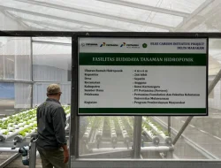 Pertamina Foundation Wujudkan Pelestarian Lingkungan lewat Program Hutan Lestari
