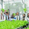 Pertamina Hijaukan Hutan Lombok, Komitmen Pelestarian Lingkungan Berdampak Nilai Ekonomi
