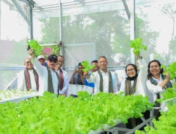 Pertamina Hijaukan Hutan Lombok, Komitmen Pelestarian Lingkungan Berdampak Nilai Ekonomi