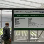 AllreleaseID – Pertamina Foundation Wujudkan Pelestarian Lingkungan lewat Program Hutan Lestari